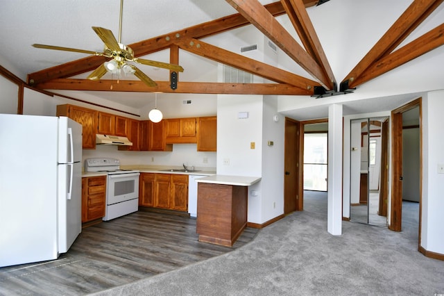 742 Tall Oaks Ct, Myrtle Beach, SC 29588 - kitchen with brown cabinets, under cabinet range hood, light countertops, a sink, and white appliances