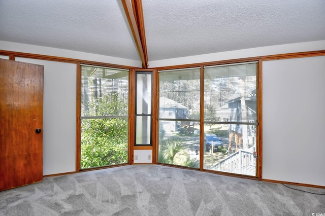 742 Tall Oaks Ct, Myrtle Beach, SC 29588 - unfurnished room featuring carpet flooring and a textured ceiling