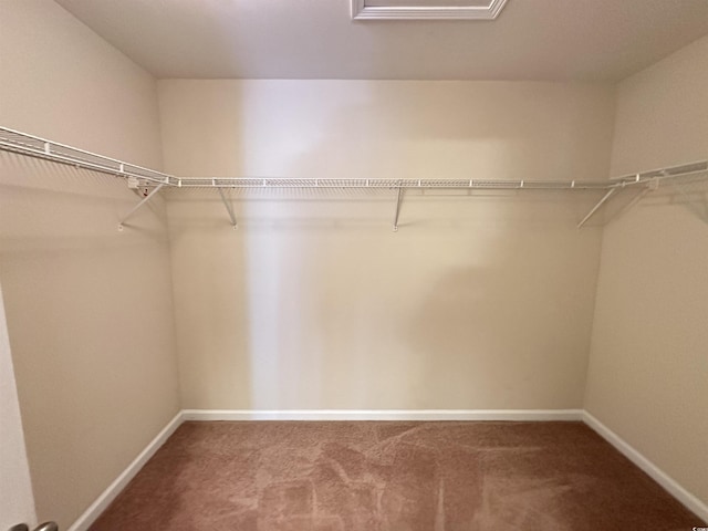 514 Hay Hill Ln Unit C, Myrtle Beach, SC 29579 - spacious closet with carpet flooring