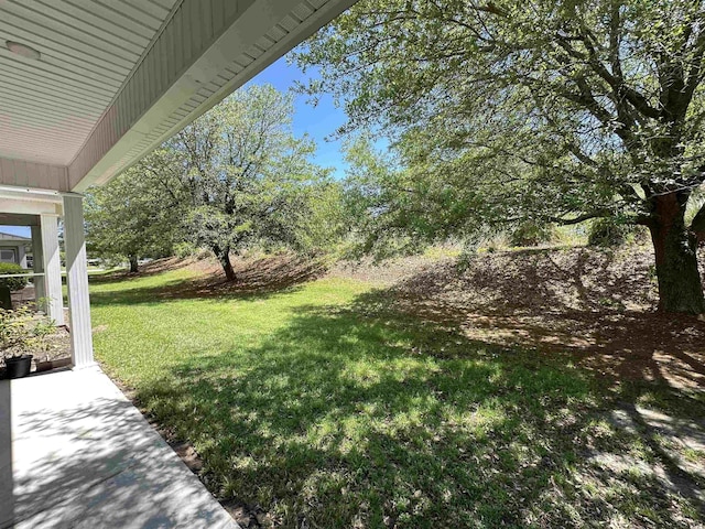 514 Hay Hill Ln Unit C, Myrtle Beach, SC 29579 - view of green lawn