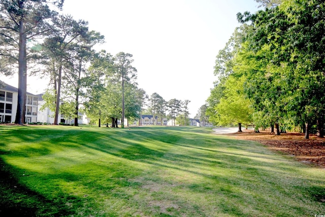 1533 Lanterns Rest Rd Unit 304, Myrtle Beach, SC 29579 - view of home's community featuring a lawn