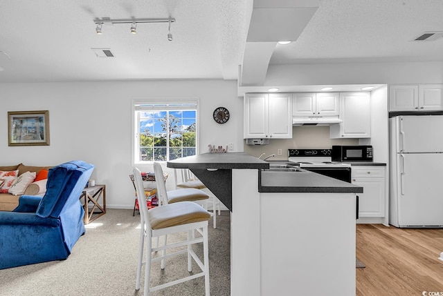 4430 Eastport Blvd Unit L15, Little River, SC 29566 - kitchen with freestanding refrigerator, black microwave, range with electric stovetop, under cabinet range hood, and dark countertops
