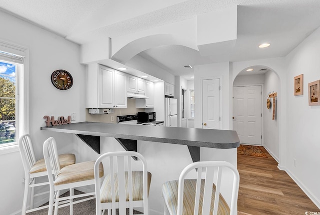 4430 Eastport Blvd Unit L15, Little River, SC 29566 - kitchen with freestanding refrigerator, under cabinet range hood, a breakfast bar area, a peninsula, and recessed lighting
