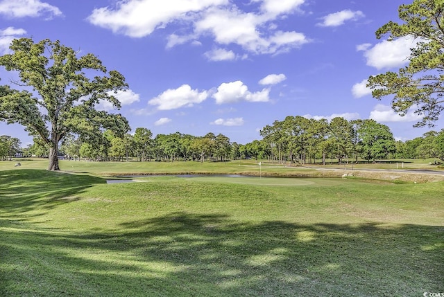 4430 Eastport Blvd Unit L15, Little River, SC 29566 - surrounding community with view of scattered trees, golf course view, and a yard