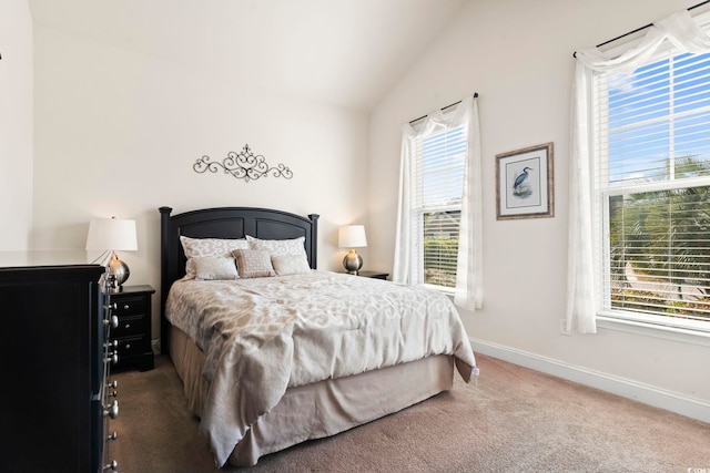 3053 Chesterwood Ct, Myrtle Beach, SC 29579 - photo 32