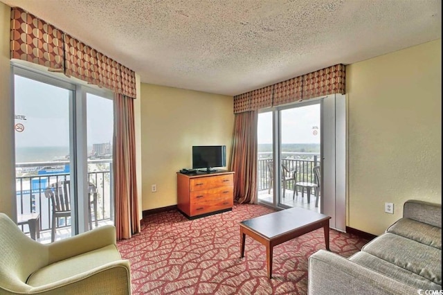 504 N Ocean Blvd Unit 1810, Myrtle Beach, SC 29577 - living area with carpet floors, baseboards, and a textured ceiling