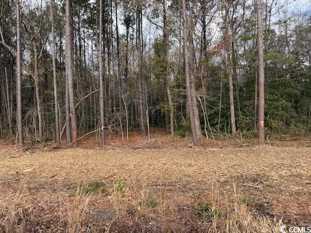 6.58ACS Kates Bay Hwy, Conway, SC 29527