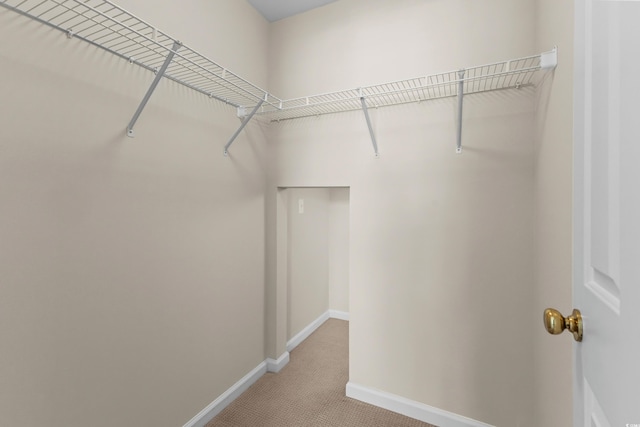 1004 Harvester Cir Unit 1004, Myrtle Beach, SC 29579 - walk in closet featuring light carpet