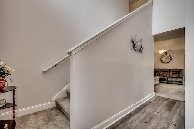 1001 Harvest View Ave, Conway, SC 29527 - stairs featuring wood finished floors, ceiling fan, and carpet