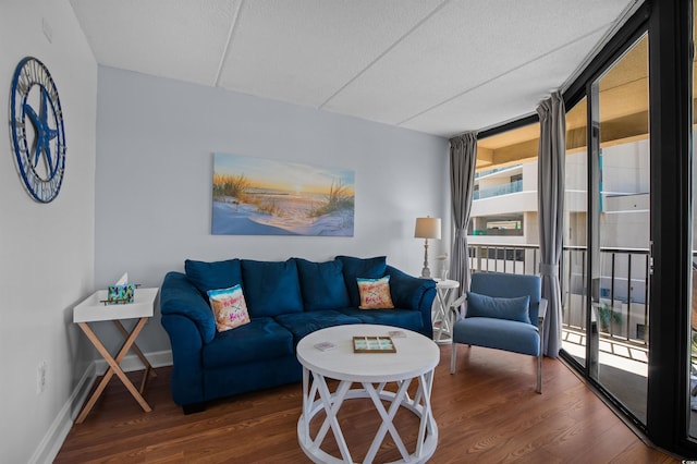 208 74th Ave N Unit 2517, Myrtle Beach, SC 29572 - living room featuring wood finished floors