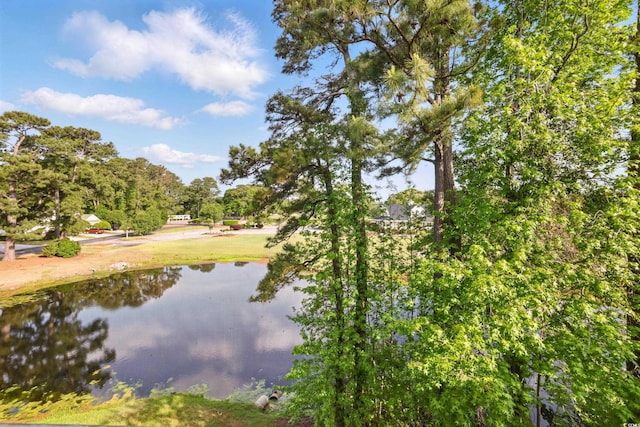 4567 Eastport Blvd Unit 3P, Little River, SC 29566 - photo 20