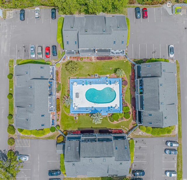 bird's eye view of a pool