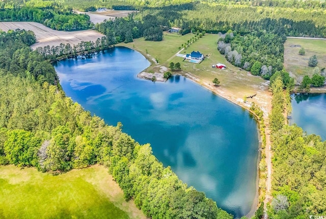 2300 Tansy Rd, Loris, SC 29569 - aerial view of a large body of water and a forest