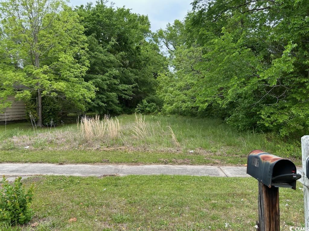 TBD Emanuel St, Georgetown, SC 29440