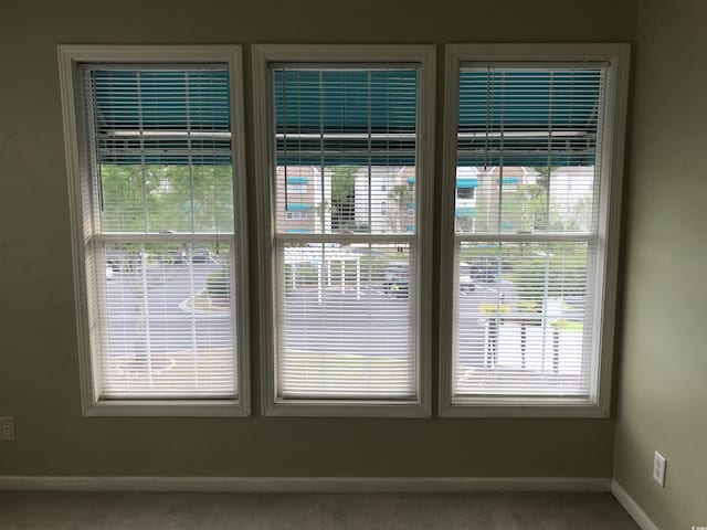 details with carpet floors and baseboards
