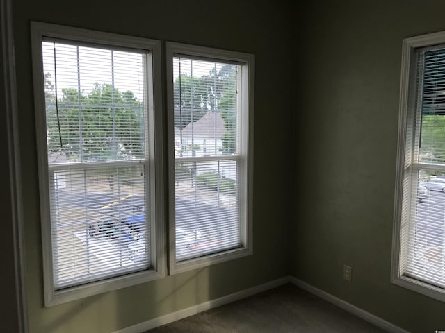 room details with baseboards and carpet flooring