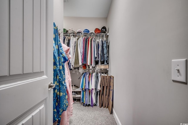 walk in closet with carpet floors