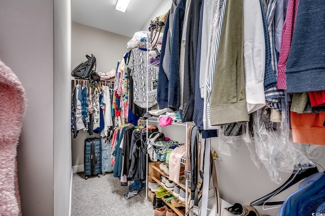 walk in closet with carpet floors