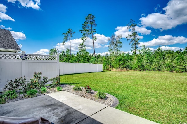 view of yard featuring a fenced backyard and a patio