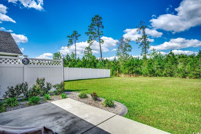 377 Copperwood Loop, Conway, SC 29526 - view of yard featuring a patio