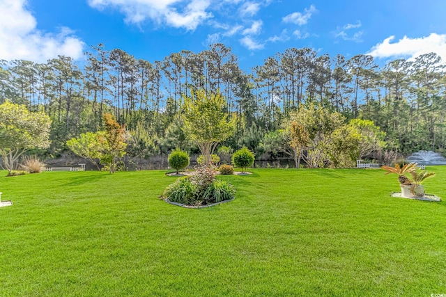 178 Kessinger Dr, Surfside Beach, SC 29575 - view of grassy yard featuring view of scattered trees