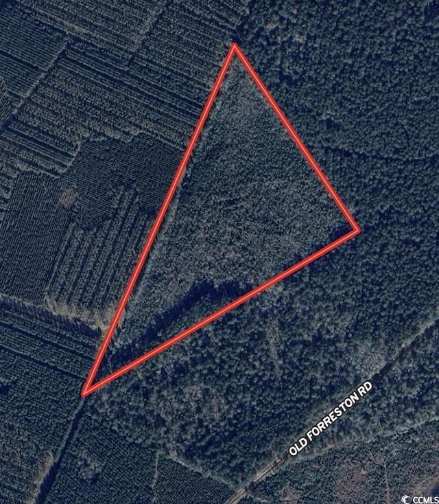 24.71ACRES-TBD Old Forreston Rd, Greeleyville, SC 29056 - photo 5