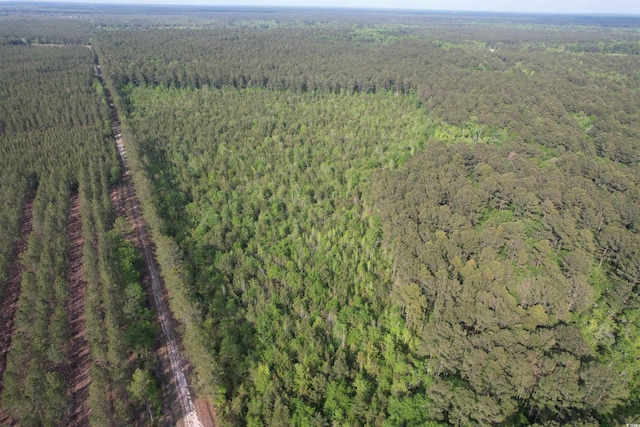 24.71ACRES-TBD Old Forreston Rd, Greeleyville, SC 29056 - photo 4