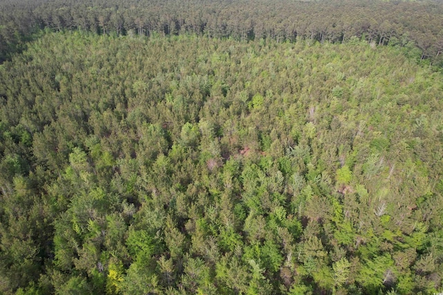 24.71ACRES-TBD Old Forreston Rd, Greeleyville, SC 29056 - photo 3