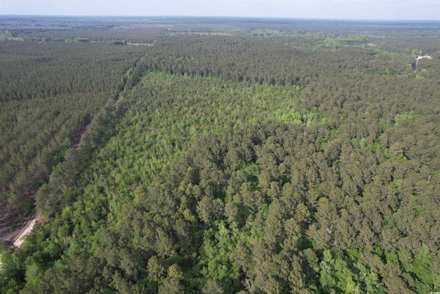 24.71ACRES-TBD Old Forreston Rd, Greeleyville, SC 29056 - photo 2