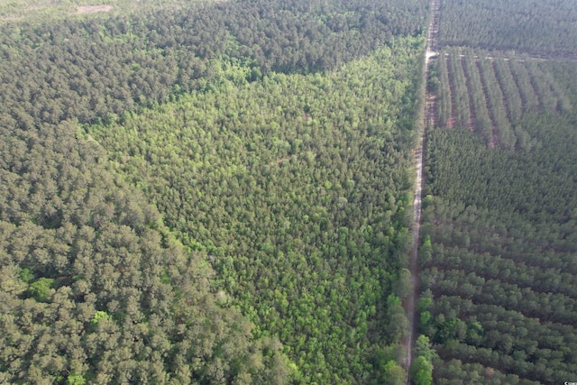 24.71ACRES-TBD Old Forreston Rd, Greeleyville, SC 29056 - photo 1