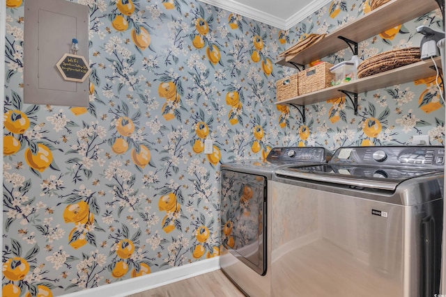 800 9th Ave S Unit A-4, North Myrtle Beach, SC 29582 - laundry area with laundry area, crown molding, wood finished floors, wallpapered walls, and washer and clothes dryer