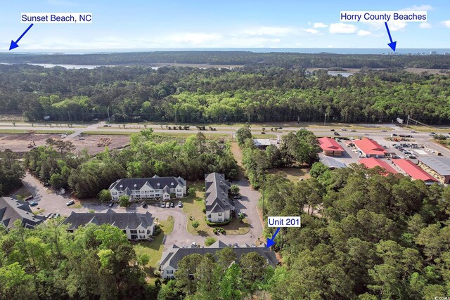 148 Scotch Broom Dr Unit 201, Little River, SC 29566 - bird's eye view of a heavily wooded area