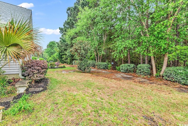 view of yard
