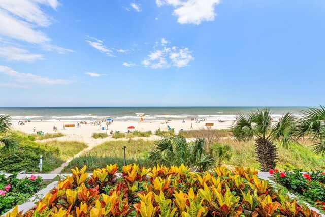 2401 S Ocean Blvd S Unit 267, Myrtle Beach, SC 29577 - water view featuring local beach