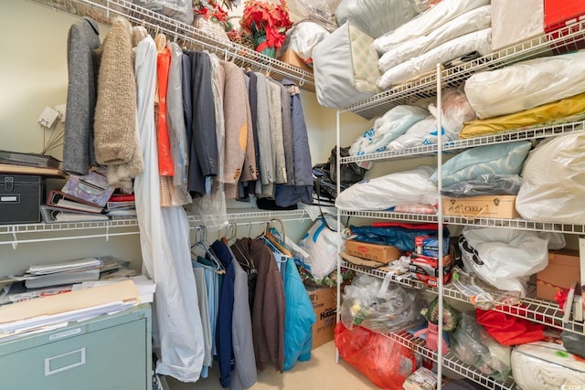 spacious closet featuring carpet flooring