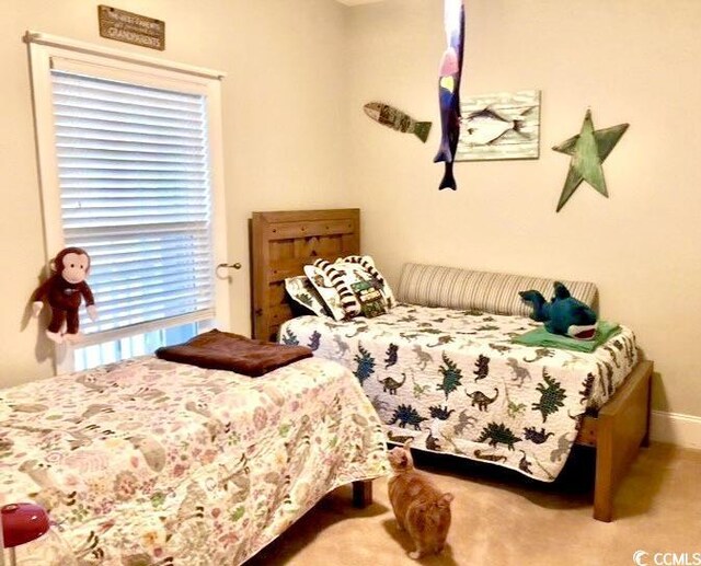 100 Birch N Coppice Dr Unit 12, Surfside Beach, SC 29575 - photo 21
