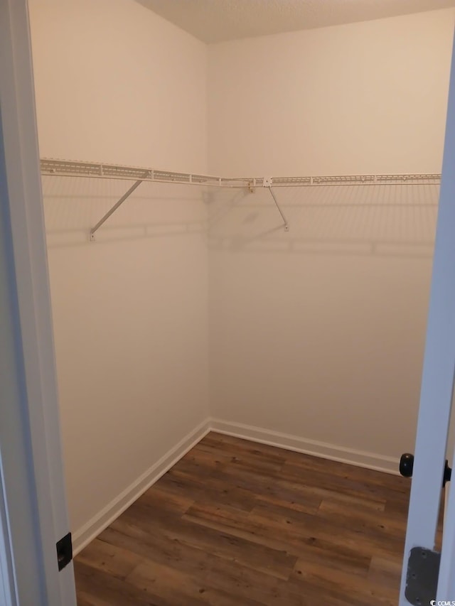 walk in closet featuring dark wood-style floors