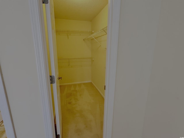 3762 Citation Way Unit 1022, Myrtle Beach, SC 29572 - walk in closet featuring light carpet