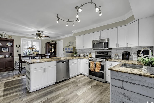 kitchen with a peninsula, a ceiling fan, a sink, stainless steel appliances, and light stone counters