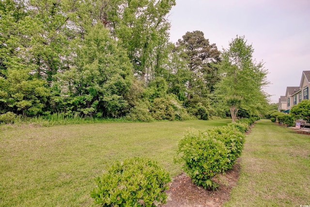 130 Scotch Broom Dr Unit H-103, Little River, SC 29566 - view of yard