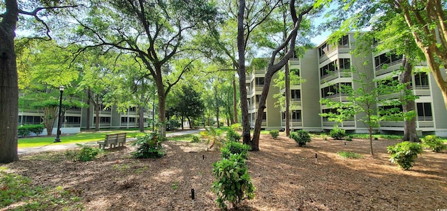 view of community