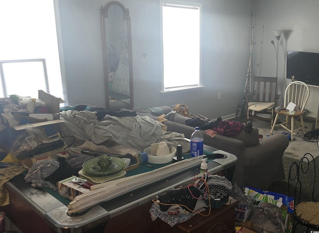 misc room with carpet flooring
