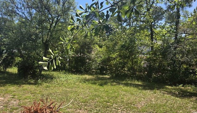 view of landscape