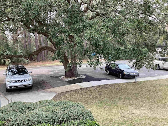 409 Salt Marsh Cir Unit 20C, Pawleys Island, SC 29585 - view of yard