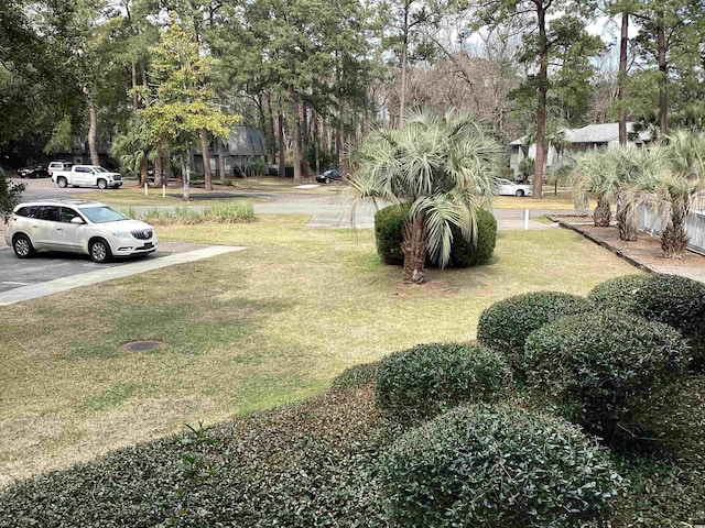 409 Salt Marsh Cir Unit 20C, Pawleys Island, SC 29585 - view of yard