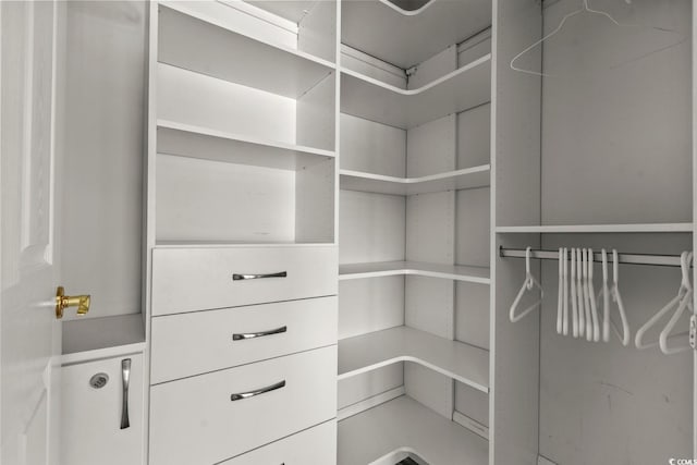 view of walk in closet