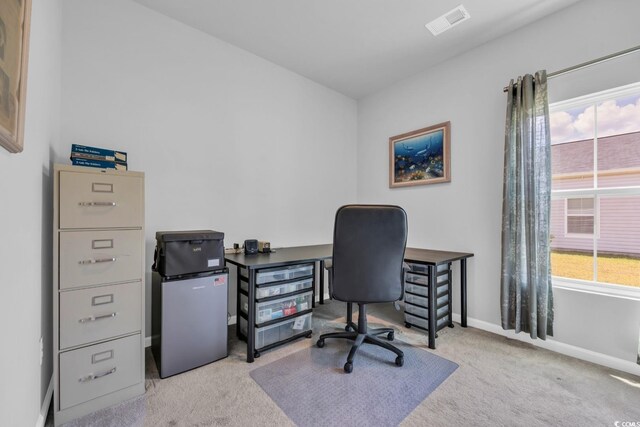 366 Fennec Loop, Conway, SC 29526 - photo 26