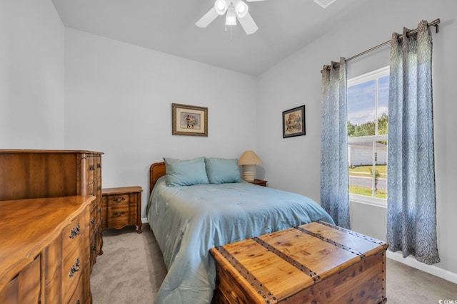 366 Fennec Loop, Conway, SC 29526 - photo 23