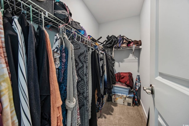 walk in closet with carpet flooring