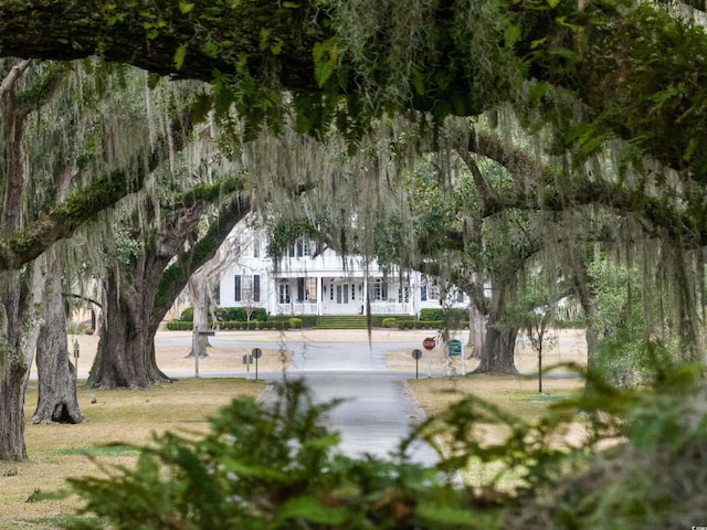 741 Tuckers Rd, Pawleys Island, SC 29585 - surrounding community featuring a lawn